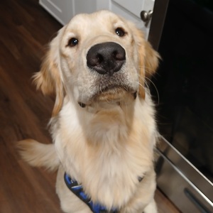 Fundraising Page: Benny - Yessica Verdugo